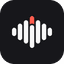 Plaud icon